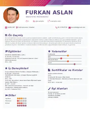 Endüstri Mühendisi CV Örnekleri cv indir